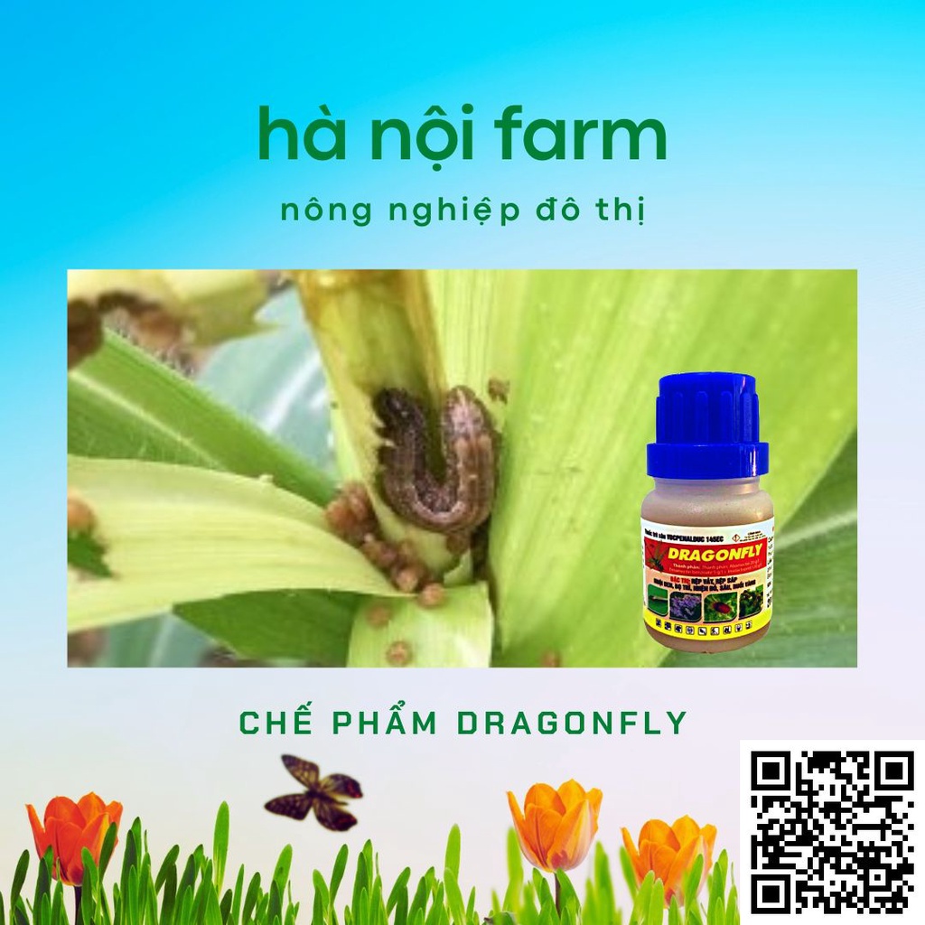 Đặc trị rệp sáp rệp vảy, sâu đục thân, bọ trĩ - lọ 20ml