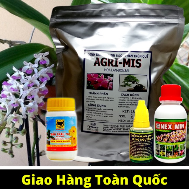 Trọn bộ phân bón chăm sóc hoa lan