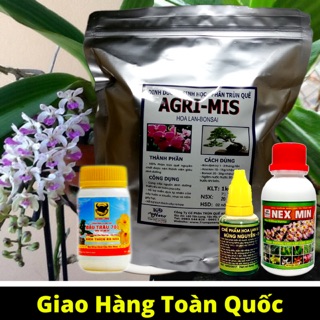 Trọn bộ phân bón chăm sóc hoa lan