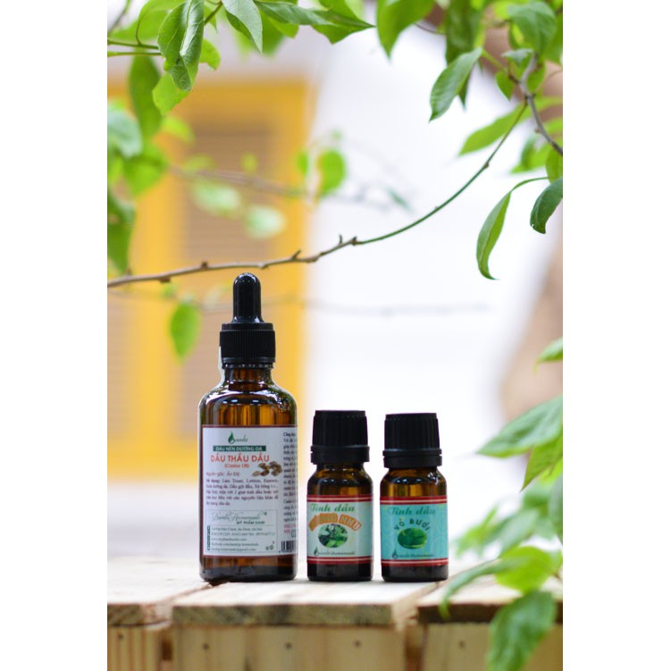 Combo Nguyên Liệu Ủ Tóc | BigBuy360 - bigbuy360.vn