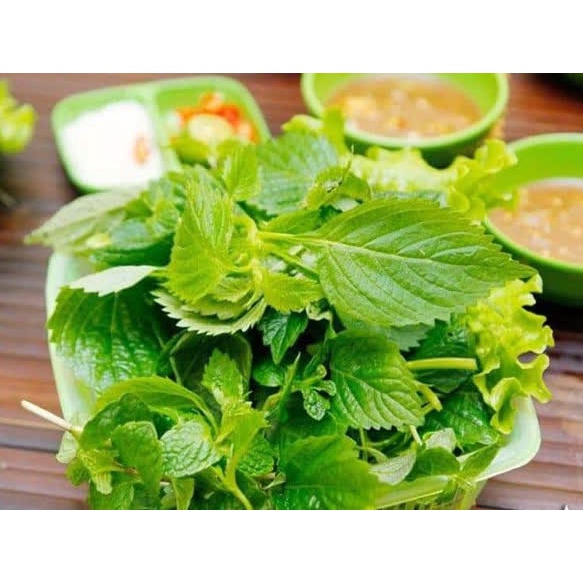 Hạt giống rau kinh giới - rau củ quả trồng chậu, trồng vườn ngon giòn ngọt tỉ lệ nảy mầm cao 1gr RADO 11