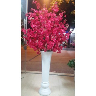 combo 50 cành hoa anh đào