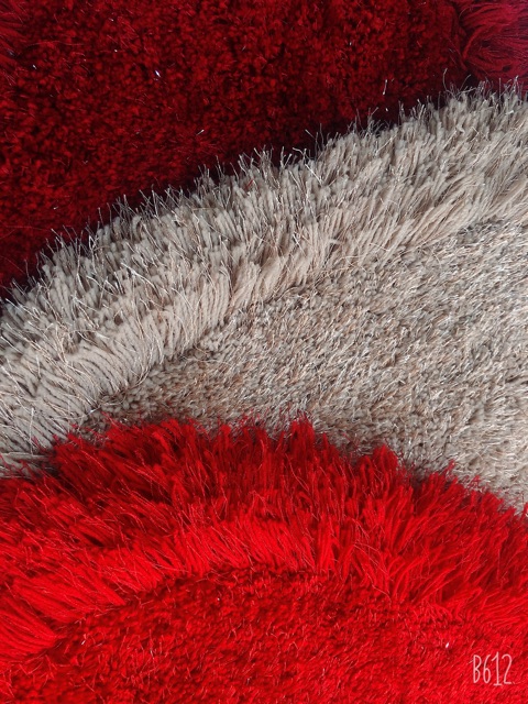 Thảm dậm chân siêu sang