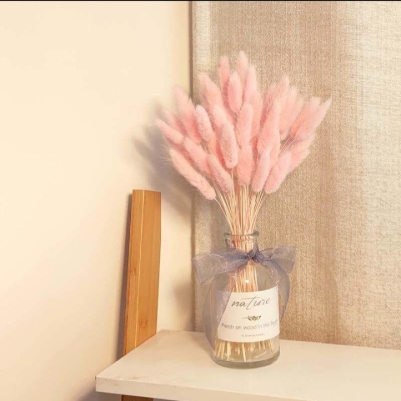 5 hoa đuôi thỏ decor giá mềm- có nhiều màu dùng decor trang trí