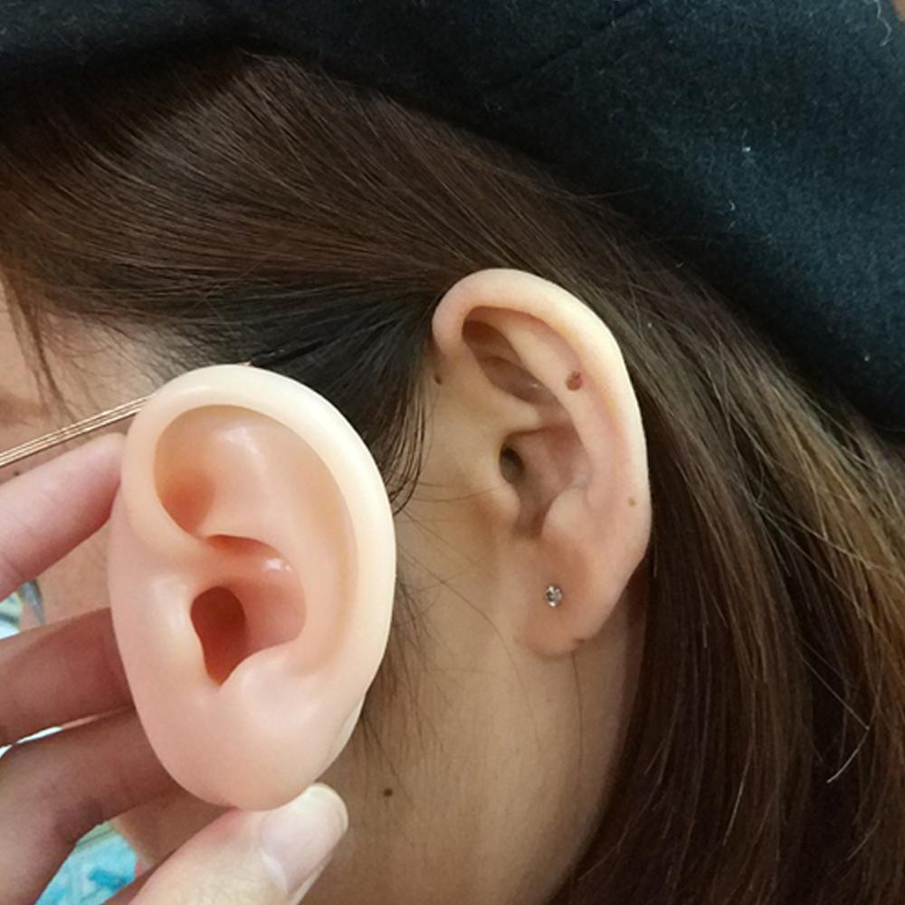 Mô Hình Trưng Bày Bông Tai Người Bằng Silicone Tỉ Lệ 1: 1