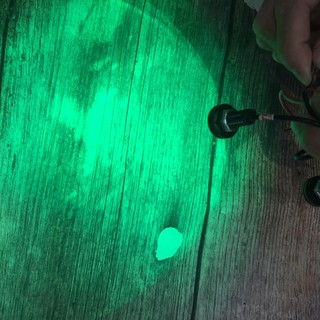 Xi nhan led hình cúc áo nhỏ gọn