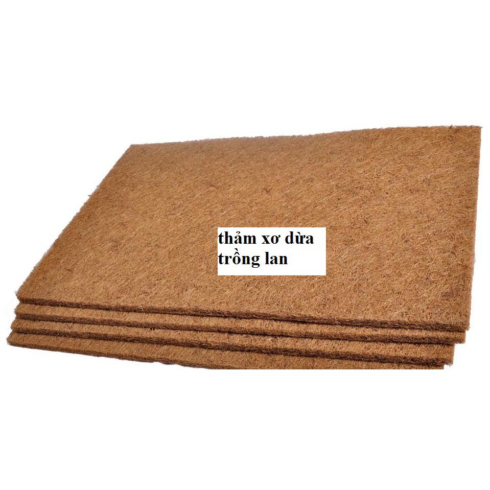 Thảm xơ dừa ép kích thước 50x50 cm, giá thể giữ ẩm cho cây trồng chậu