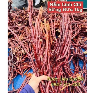 1Kg Nấm linh chi sừng hươu - Nâm sừng hưu Tây bắc