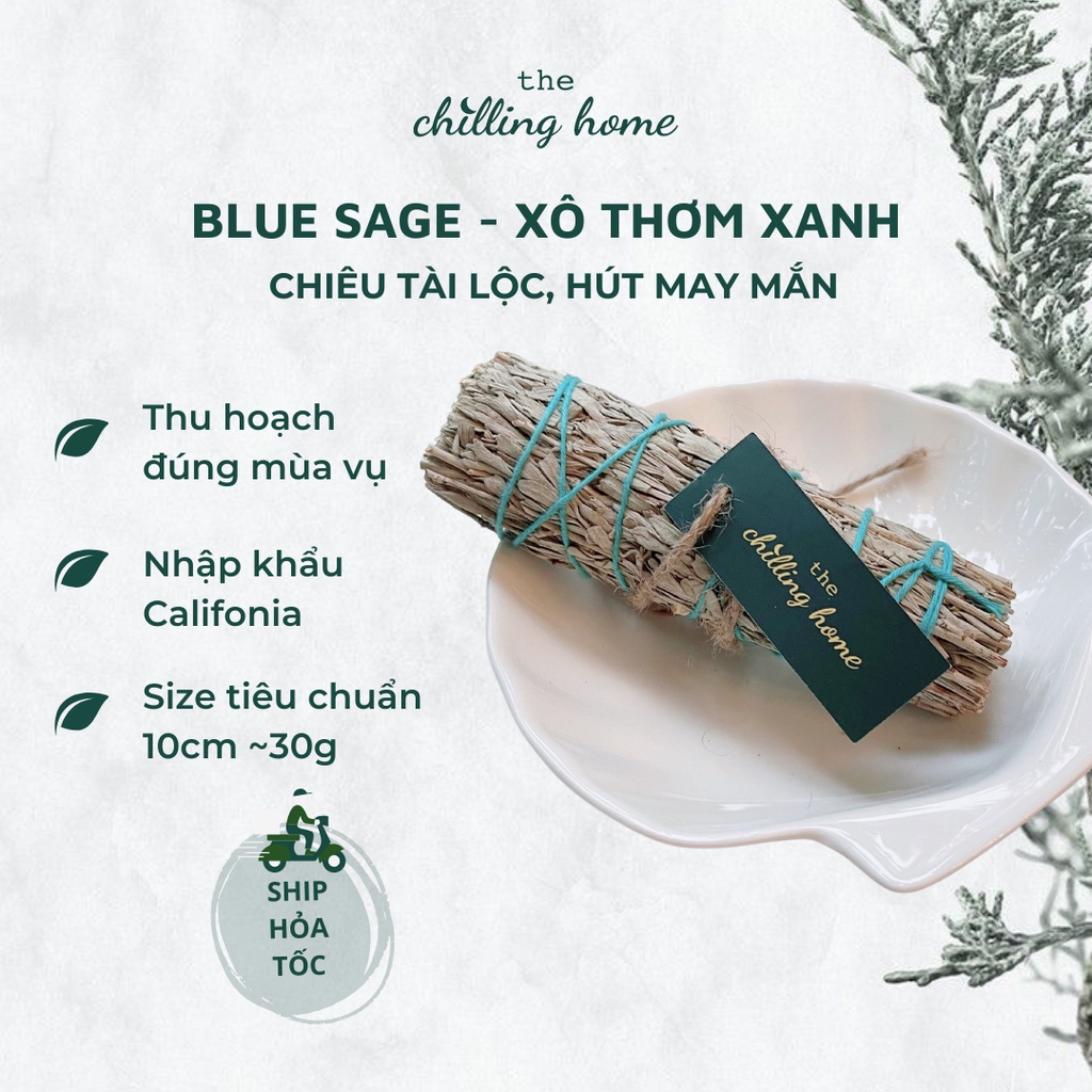 Xô Thơm Xanh  Chiêu Tài Lộc Hút May Mắn Và Thanh Tẩy Không Gian Nhập Khẩu - The Chilling Home