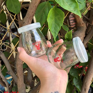 254-Combo 12 hủ sữa chua in hình