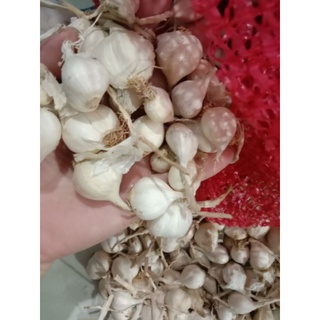 Tỏi lý sơn quãng ngãi 3-5 nhánh 1kg
