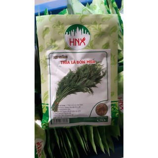 Hạt giống thì là 4 mùa 20g