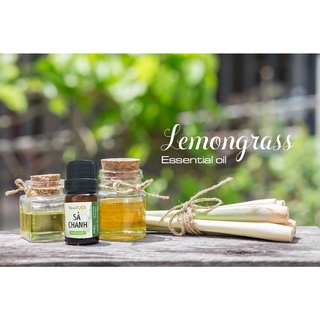 [Đuổi muỗi] Tinh dầu Sả Chanh 10ml (Chọn treo hoặc lọ xông)