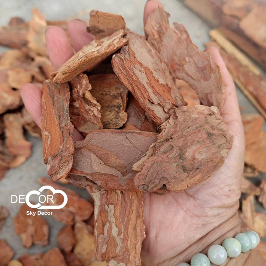 Vỏ thông khô Sky Decor phong cách vintage, cổ điển - Chụp ảnh phong cách mộc