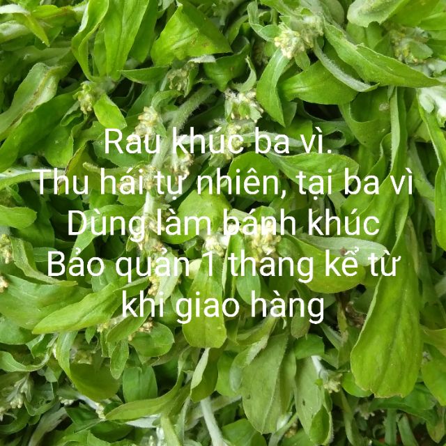 Rau khúc, rau khúc khô làm bánh khúc, bột khúc làm bánh khúc