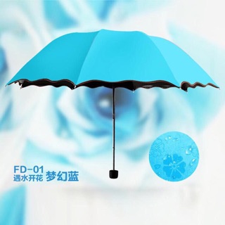 ☔️☔️☔️Ô GẤP NỞ HOA