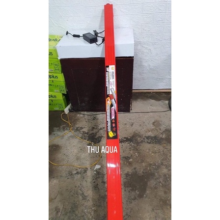 Đèn LED TANNING cá rồng đỏ cá không đỏ nước