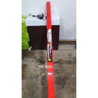 Đèn LED TANNING cá rồng đỏ cá không đỏ nước