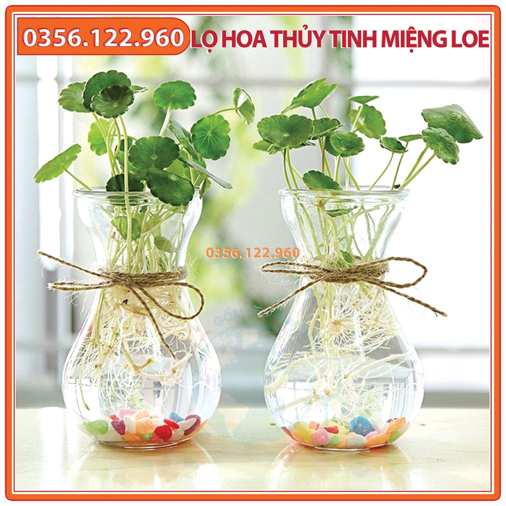 Lọ hoa thủy tinh miệng loeloe