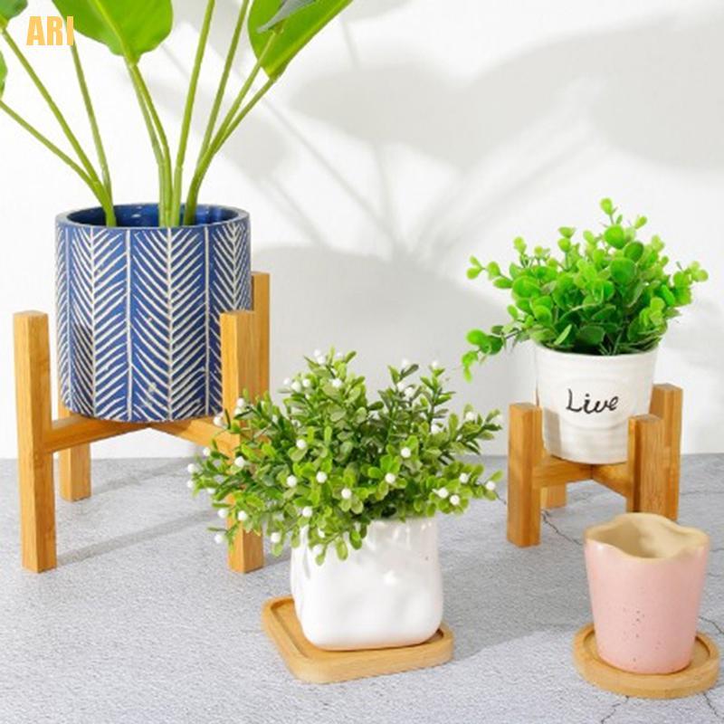 Đĩa Tre Hình Tròn / Vuông Dùng Trồng Cây Mọng Nước Tiện Dụng