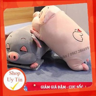 Gấu bông ôm hình heo lười mắt híp siêu xinh