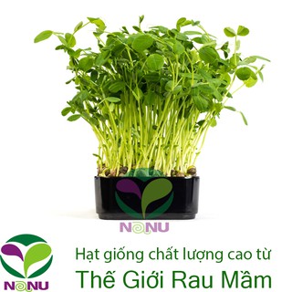 Gói 20g hạt giống rau mầm đậu hà lan