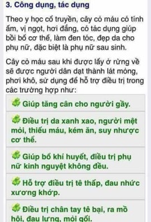 Combo 2 kg Cỏ máu tăng cân Quảng Bình bổ máu, tăng cân dành cho người gầy muốn tăng cân an toàn
