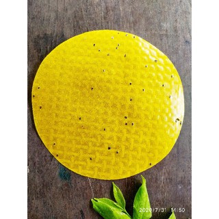 Bánh tráng nướng đà lạt (1kg)