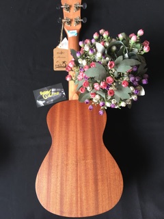 Đàn Ukulele Concert MHĐ CV-65 CB2