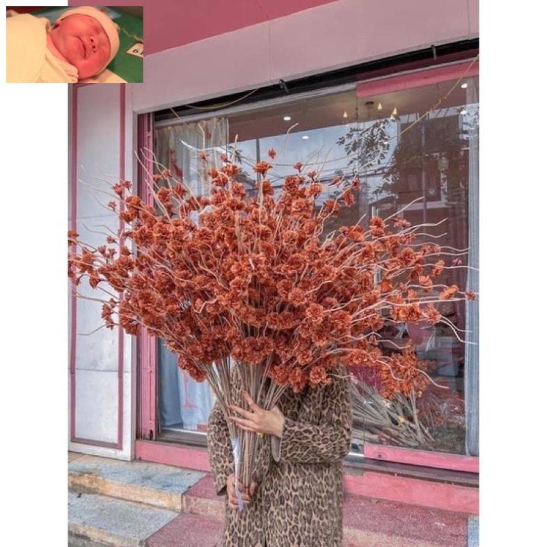 Hoa Giả- Cành Đào Râu-anh đào 1m trang trí tết,decor siêu xinh