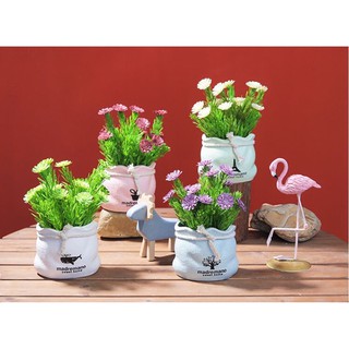 HOA TRANG TRÍ, CHẬU HOA DAISY ĐỂ BÀN TRANG TRÍ NHÀ, TRANG TRÍ BÀN CÀ PHÊ, TRANG TRÍ BÀN LÀM VIỆC