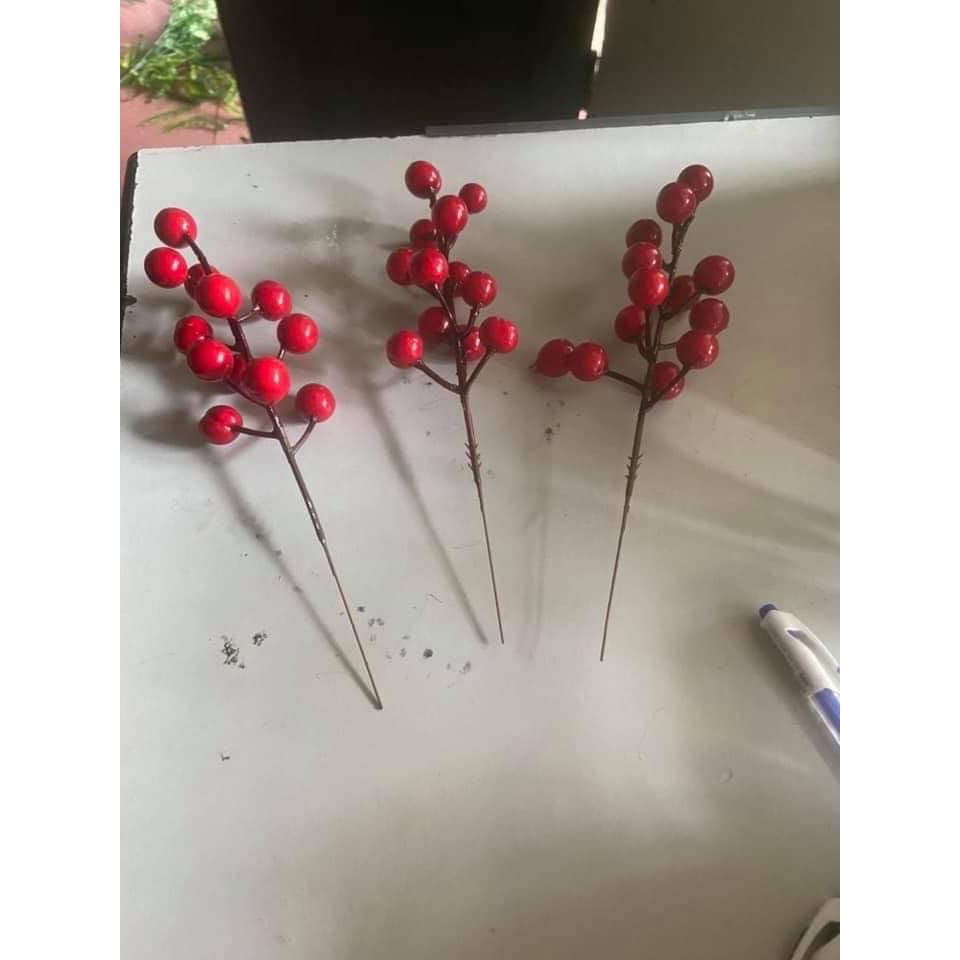ĐÀO ĐÔNG ĐỎ, Chùm 12 quả to đẹp