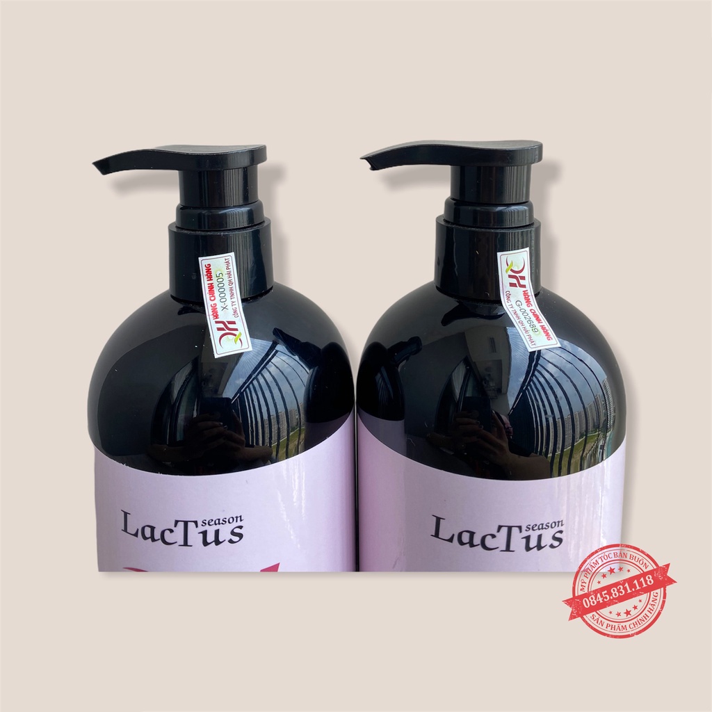 Dầu gội đầu ngăn rụng tóc QH Lactus season dầu gội da dầu, ngăn gàu
