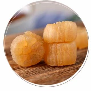 sò điệp mini