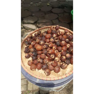 1kg trái bồ hòn tách hạt làm nước rửa bát hữu cơ