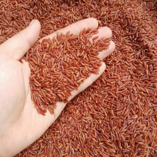 1kg Gạo lứt h.uyết rồng
