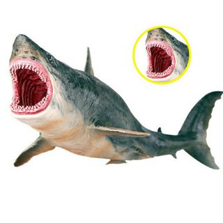 Mô hình đồ chơi khủng long. Cá mập cổ đại megalodon size 25cm.