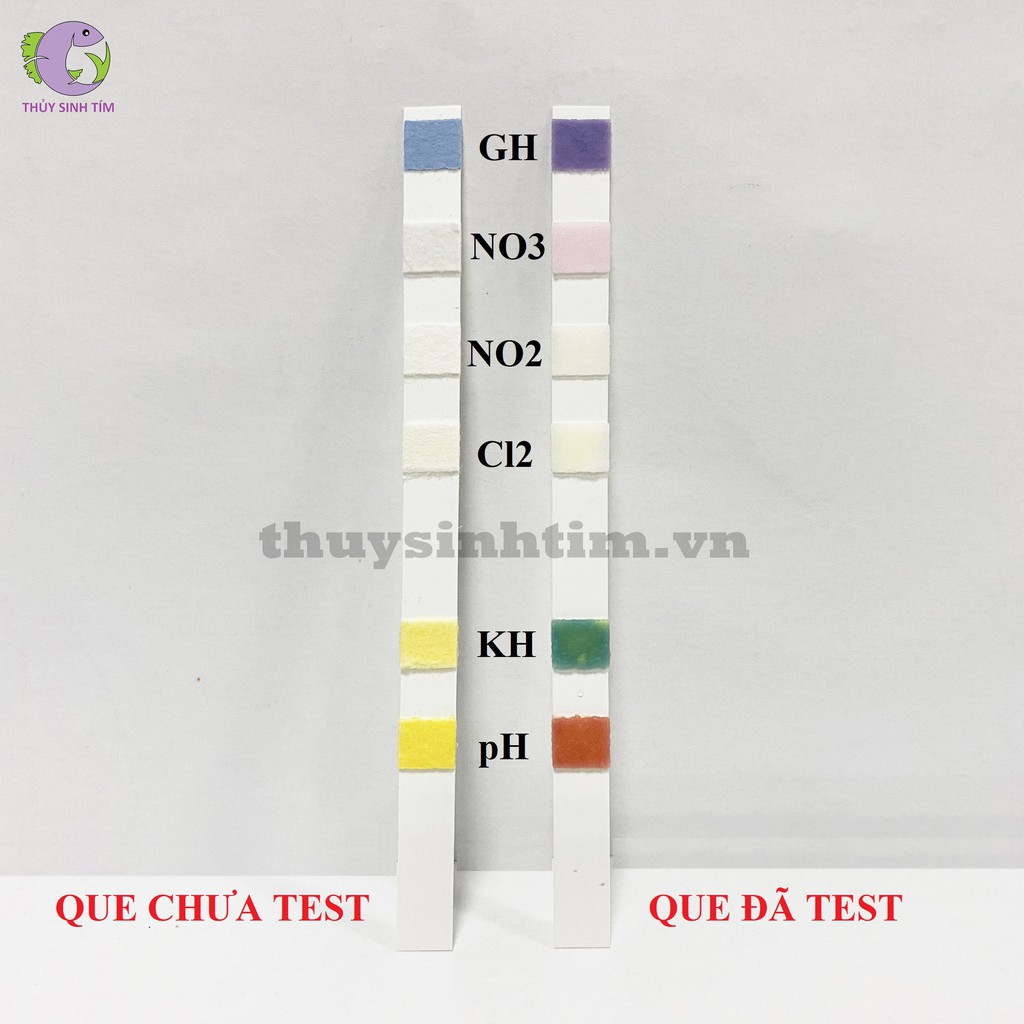 Bộ Test Chất Lượng Nước 6 IN 1 (100 Que)