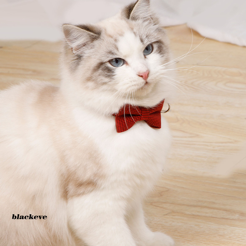 Vòng Cổ Nơ Xinh Xắn Cho Thú Cưng