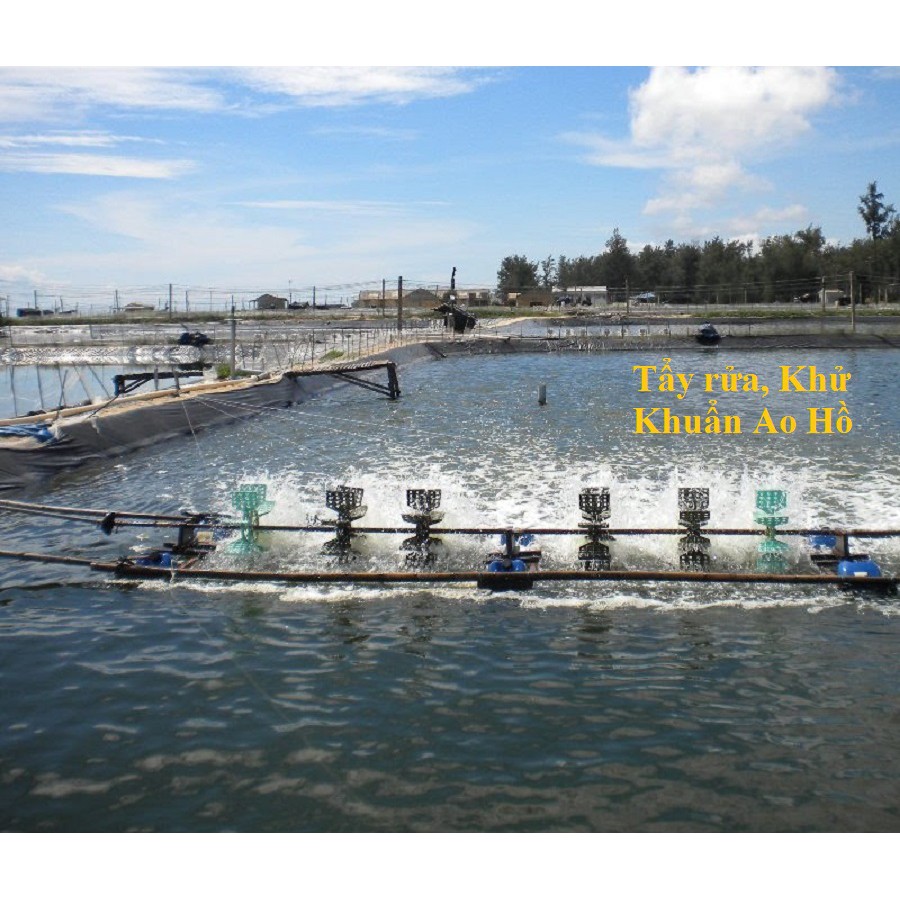 Bột Tím KMnO4 Tẩy Rửa Công Nghiệp 1 Kg, tẩy mốc quần áo