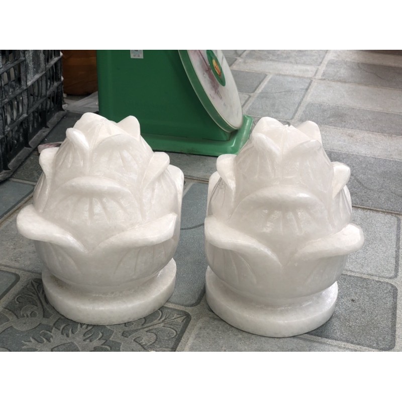 Cặp hoa sen đá non nước 18x20 cm HANMYNGHE