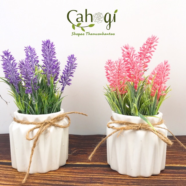 Chậu Hoa Giả Để Bàn Mini - Lavender Cắm Sẵn