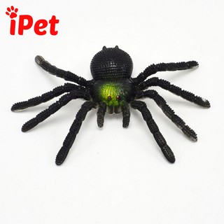 Đồ Chơi Trêu Mèo Chơi Khăm Nhện Giả Cao Su - iPet Shop