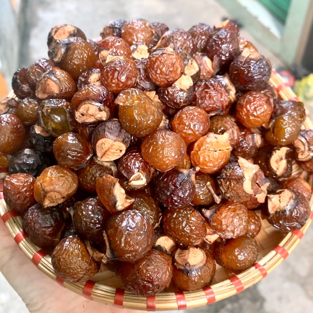 Bồ Hòn Buôn Sỉ