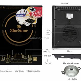 Bếp từ Bluestone ICB-6616