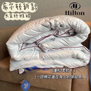 Ruột chăn Hilton mềm ấm 2m x 2m2