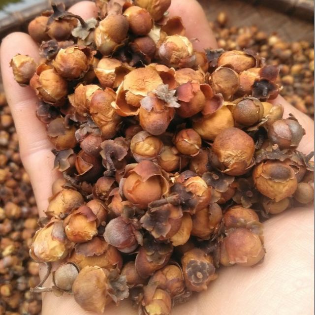 Hoa trà cổ thụ khô (500g)