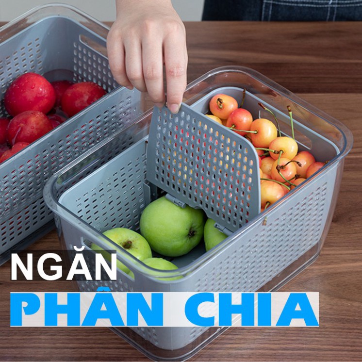 Hộp Đựng Thực Phẩm Tủ Lạnh 2 Lớp SHIMOYAMA Có Lỗ Thoát Nước, Có Khóa Thoát Khí, Dễ Dàng Bảo Quản Rau Củ . .