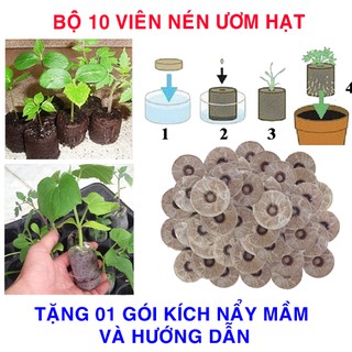 10 Viên nén ươm hạt (tặng kích mầm, hướng dẫn ươm)