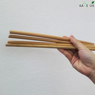 100 Ống hút tre loại 2